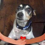 Carol Byrnes - @carol.byrnes.773 - Instagram