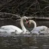 Carol Byrnes - @carol.byrnes8 - TikTok