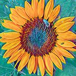 Carol Byrnes Ames - @carolames_northstar - Instagram