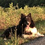 Carol Ann Childress-Calhoun - @childresscalhoun - Instagram