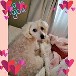 Carol Callahan - @callahancarol - Instagram