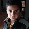 Cricket_Lover - @carol.callahan - TikTok