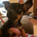 Carol Canfield - Facebook