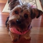 Carol Canfield - @canfield.carol - Instagram