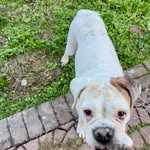 Carol Canfield - @howedaeuka - Instagram