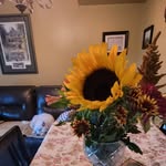 Carol Carmichael - @giles.55 - Instagram