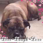 Carol Carmichael - Facebook