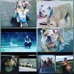 Carol Carmichael - @carolcarmichael815 - Instagram