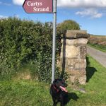 Carol Carty - @carolcarty37 - Instagram
