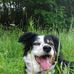 Carol Cason - Facebook