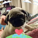 Carol Casper - @nanniecas - Instagram