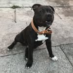 Carol Raby - @carol.casper.180 - Instagram