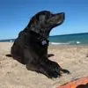 Carol Cass Loftus - @carol.cass.loftus - TikTok