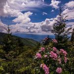 Carol Castagna - @carol.castagna - Instagram