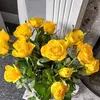 Carol Castle - @carol.castle1 - TikTok