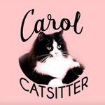 Carol Cat sitter RJ 🐾🐈 - @carolcatsitter_rj - Instagram