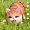 CarolCat - @thecarolcat - TikTok