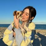 Carol Catalano - @carolcatalano - Instagram