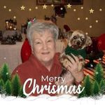 Carol Cates - @carolcates2021 - Instagram