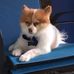 Carolyn Cates - Facebook