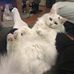 Carol Catt - Facebook