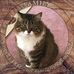 Carol Cattelan - Facebook