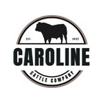 @carolinecattlecompany - Instagram