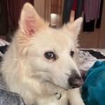 Carol Catton - @carol_catton - Instagram