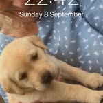 Carol Catton - @carolcatton - Instagram