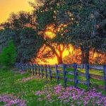 Carol Cavanaugh - @carolcavanaugh420 - Instagram