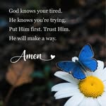 Carol Cavanaugh - @carolcav64 - Instagram
