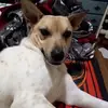 carolcavanaugh56 - @carolcavanaugh56 - TikTok