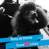 carolcavanaughhen - @carolcavanaughhen - TikTok