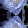carol cecil - @carol.cecil62 - TikTok