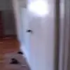 carolcei623 - @carolcei623 - TikTok