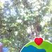 Carol Cephas - Facebook