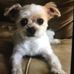 Carol Cesar - Facebook