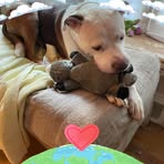 Carol Cessna Craig - Facebook