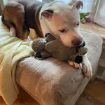 Carol Cessna Craig - @cessna_carol - Instagram