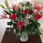 Carol Chalker - @carol_chalker - Instagram