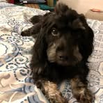 Carolyn Chalker - Facebook