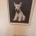 Carol Chamberlain - Facebook