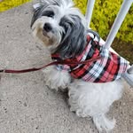 Carole Charest - @charestcarole00 - Instagram