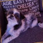 Carole Chartrand - @carole.chartrand.14 - Instagram