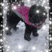 Carol Chatfield - Facebook