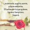 Carol chelita Sequei - @carolchelitaseque - TikTok