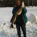 Carol Cheney - Facebook