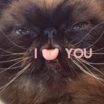 Carol Cheney - @borgoneofsix - Instagram