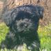 Carol Cheney - Facebook