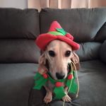 Carol Focht Cheney - @fochtcheney - Instagram